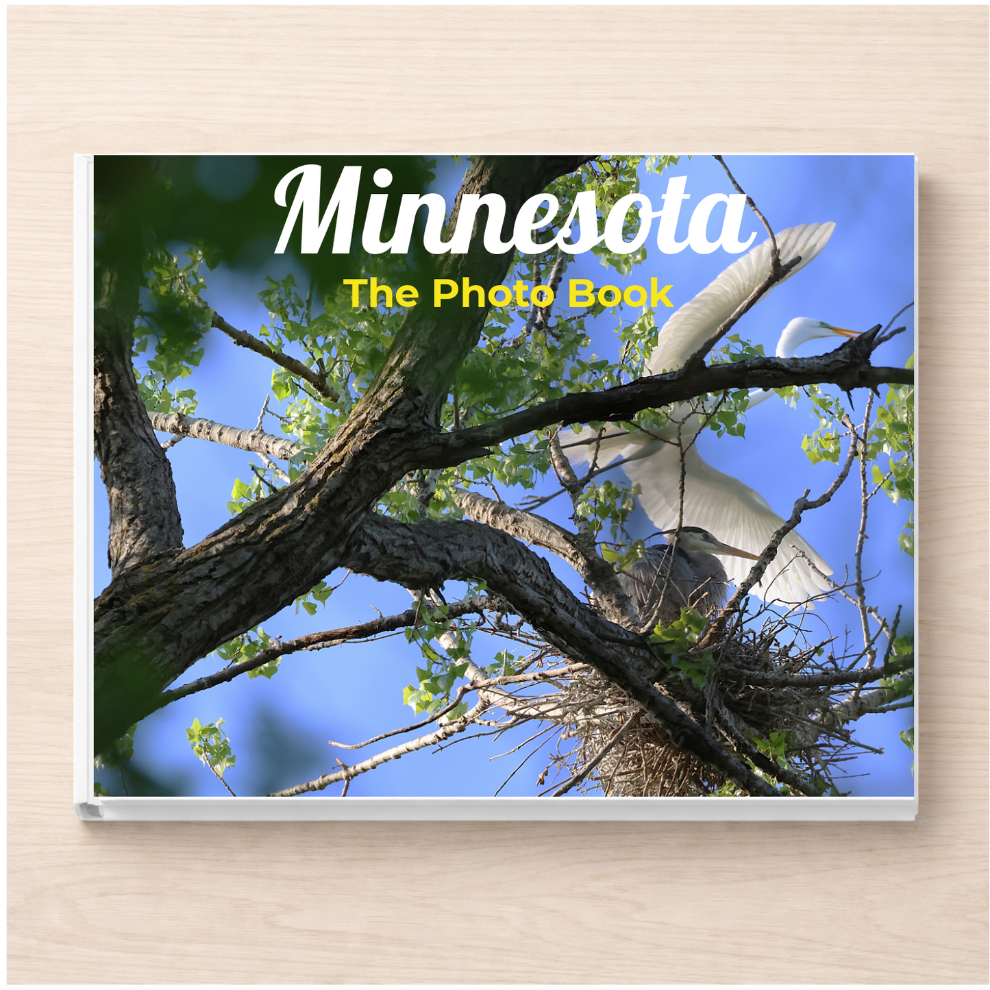 Minnesota: The Photo Book