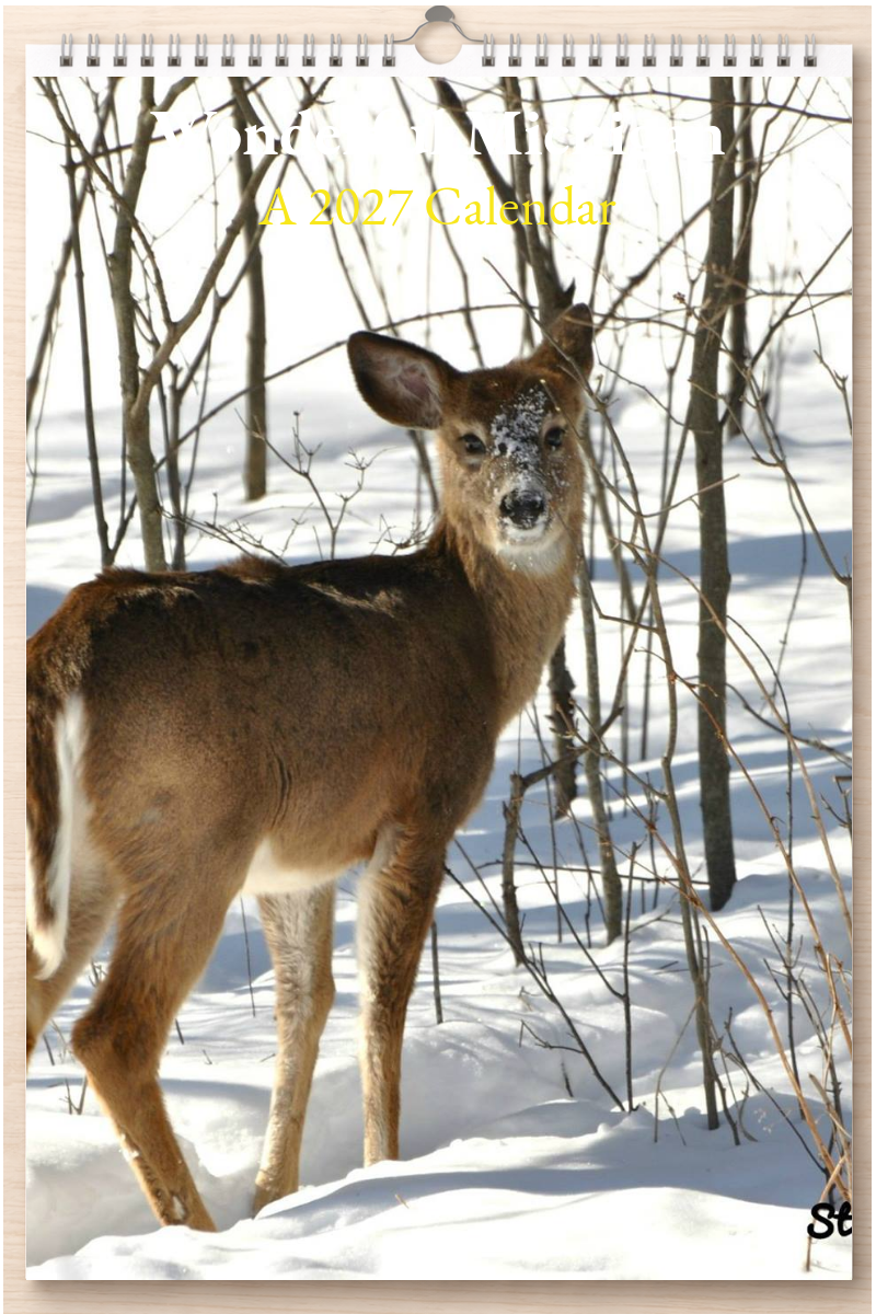 Wonderful Michigan: A 2027 Calendar