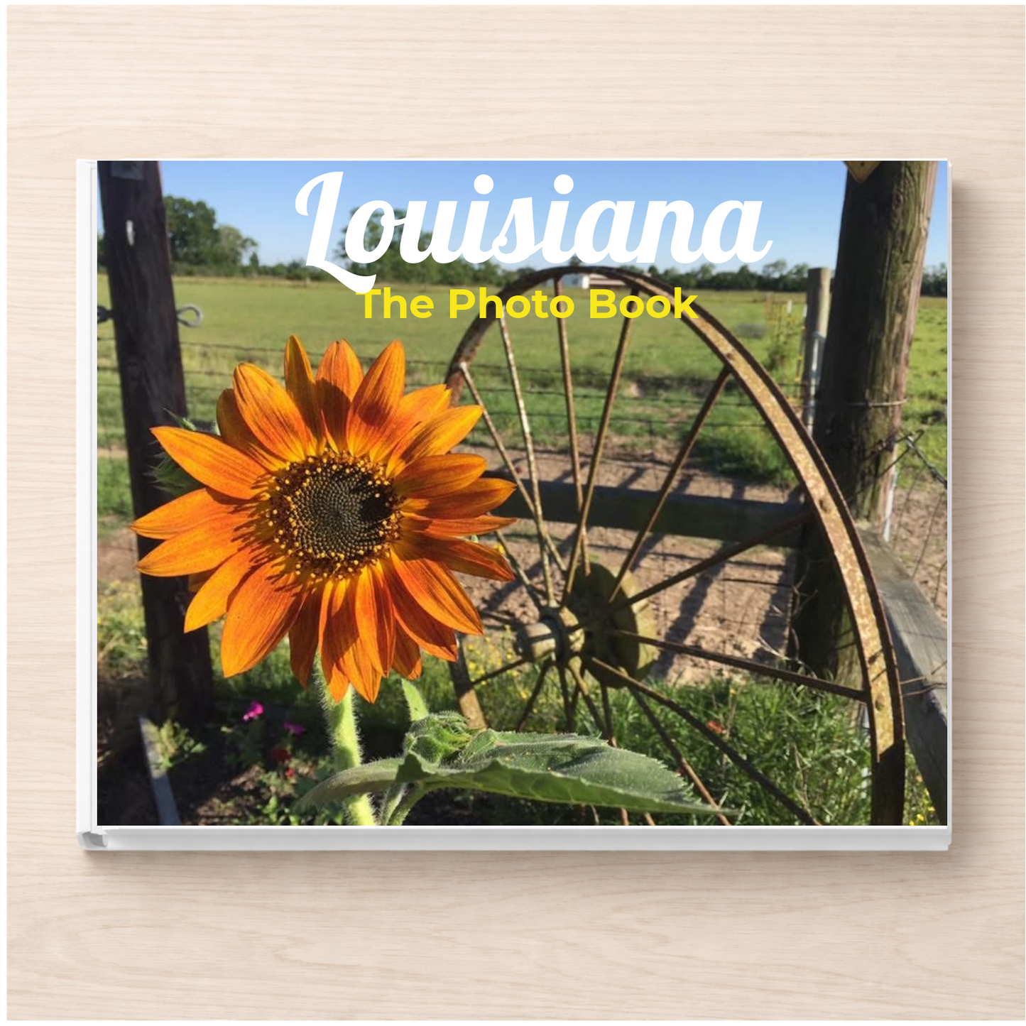 Louisiana: The Photo Book