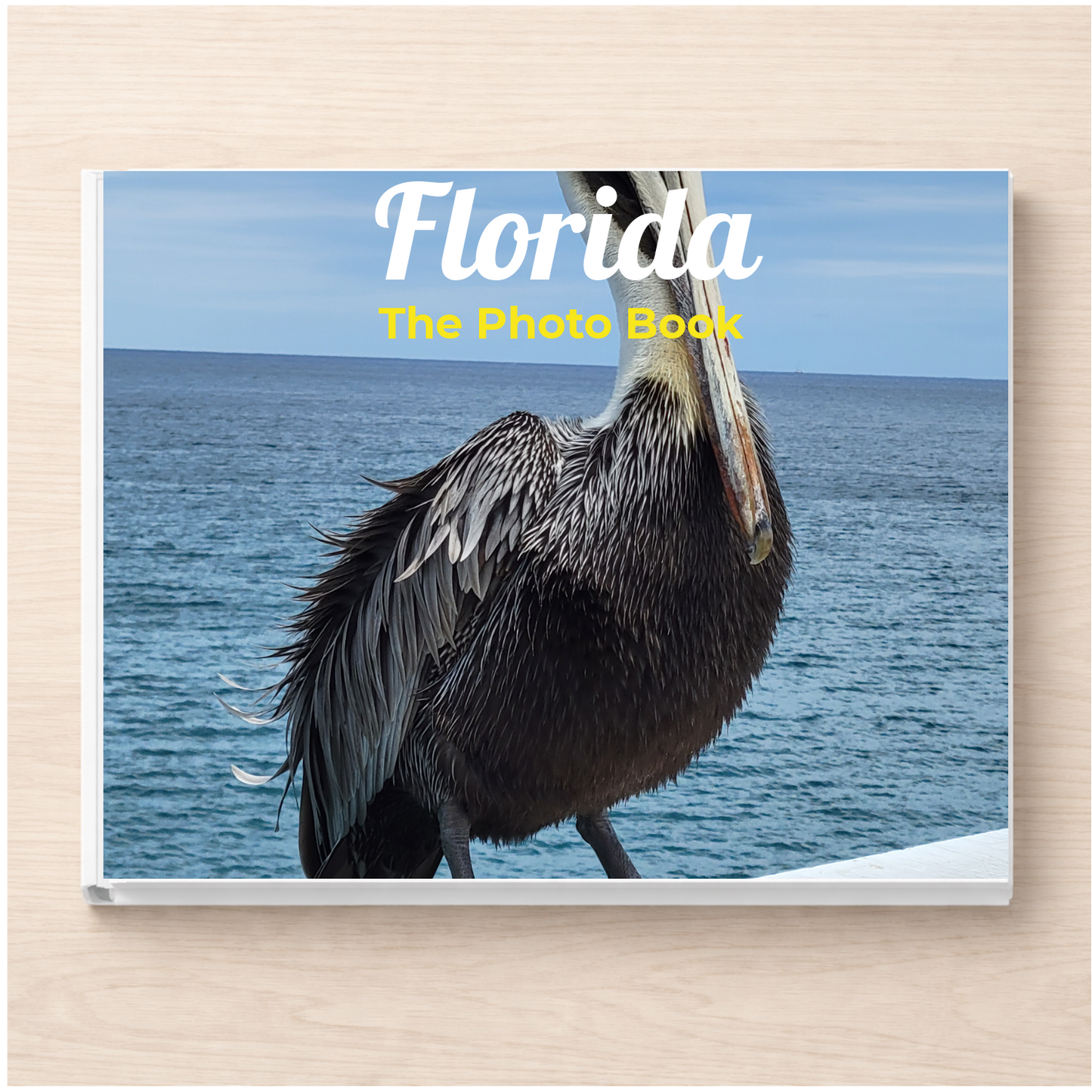 Florida: The Photo Book