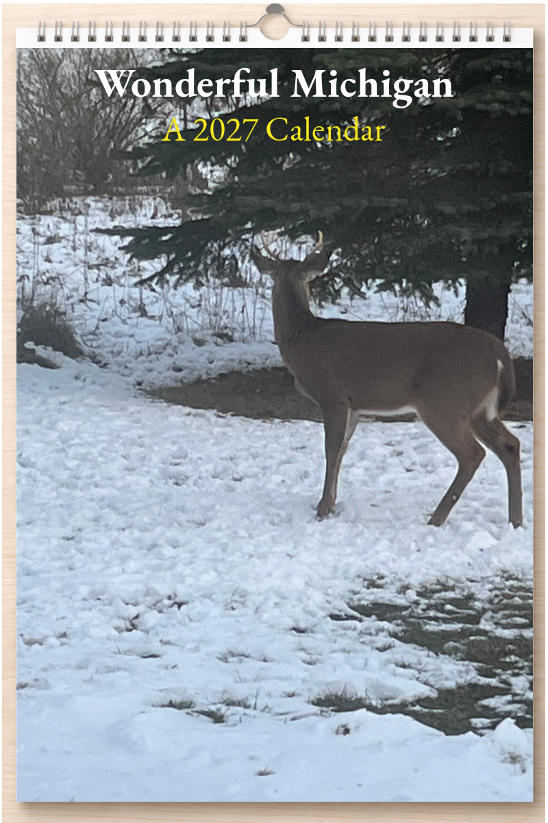 Wonderful Michigan: A 2027 Calendar