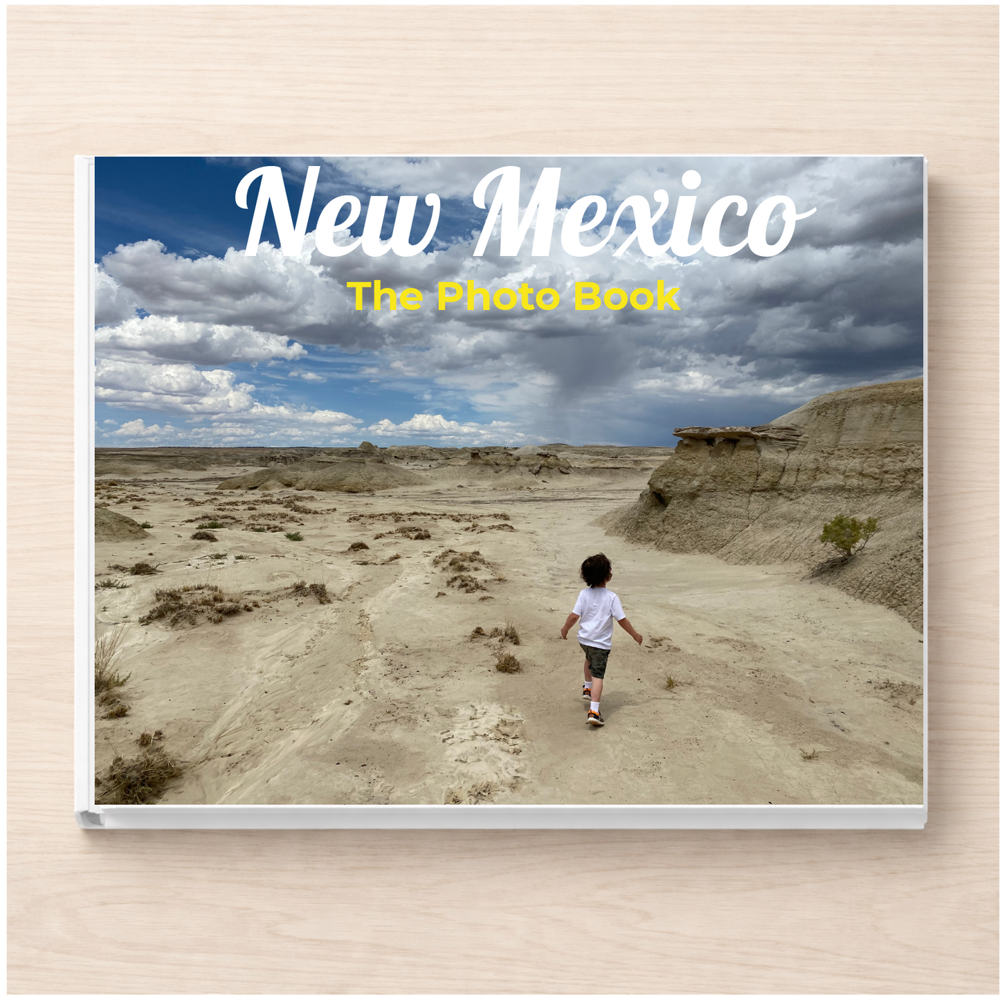 New Mexico: The Photo Book