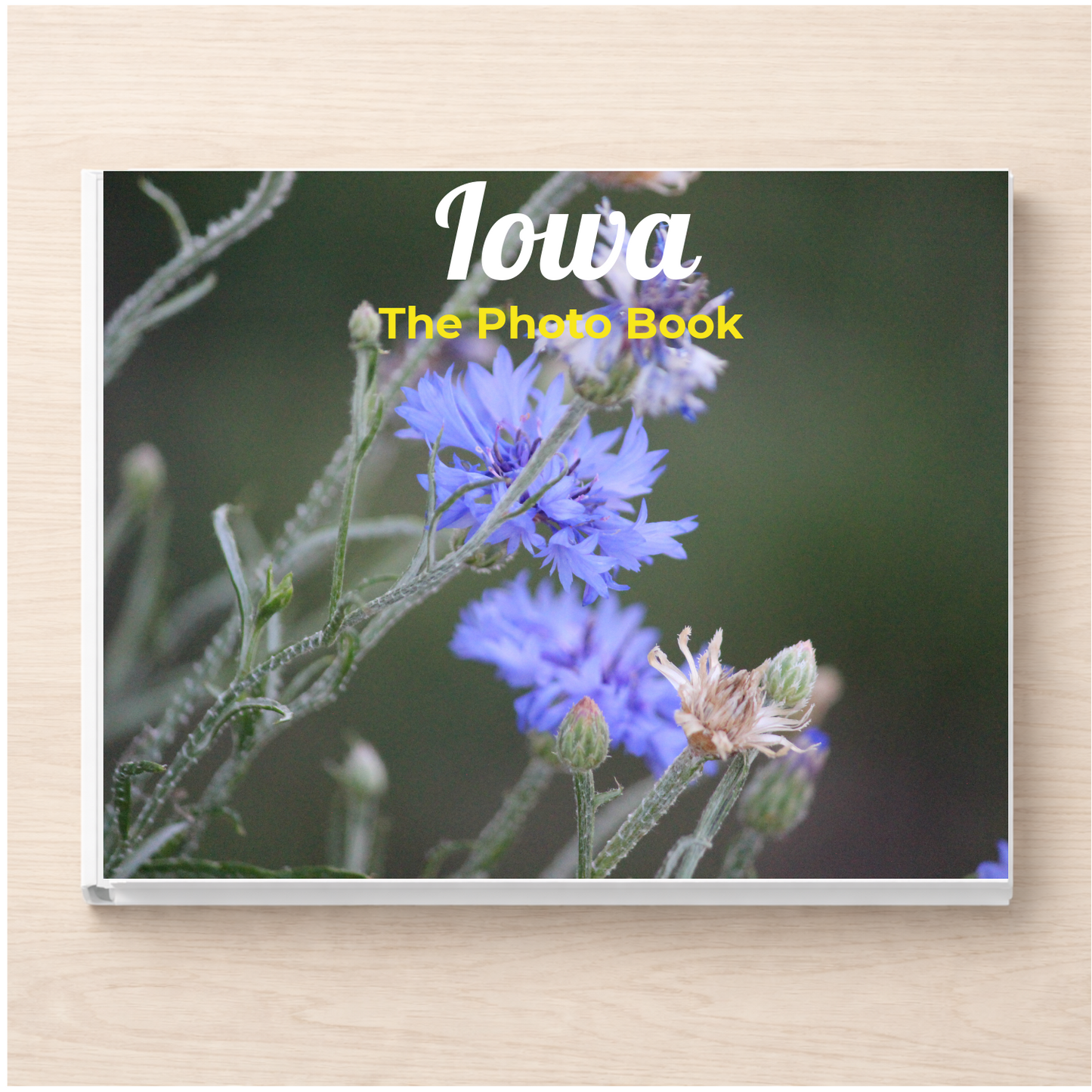 Iowa: The Photo Book