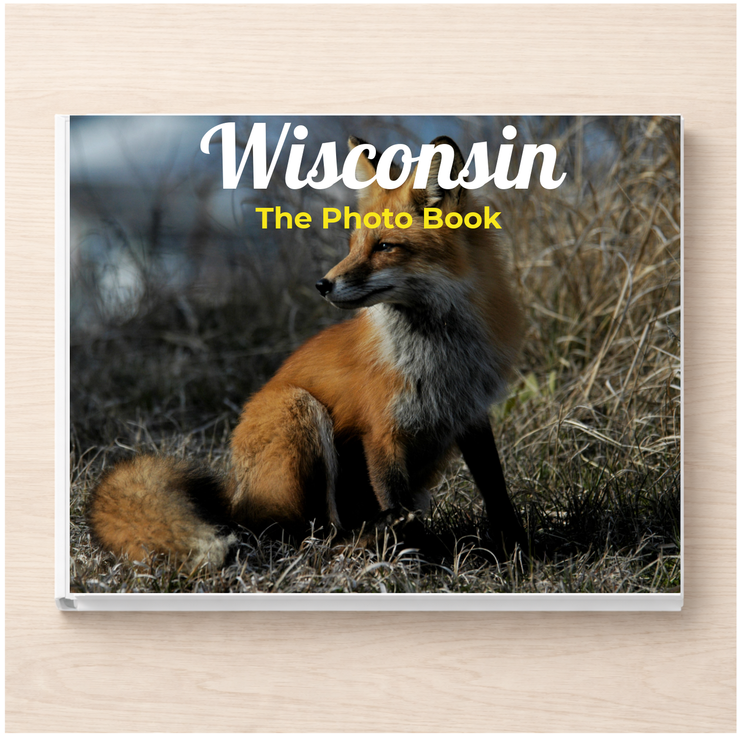 Wisconsin: The Photo Book