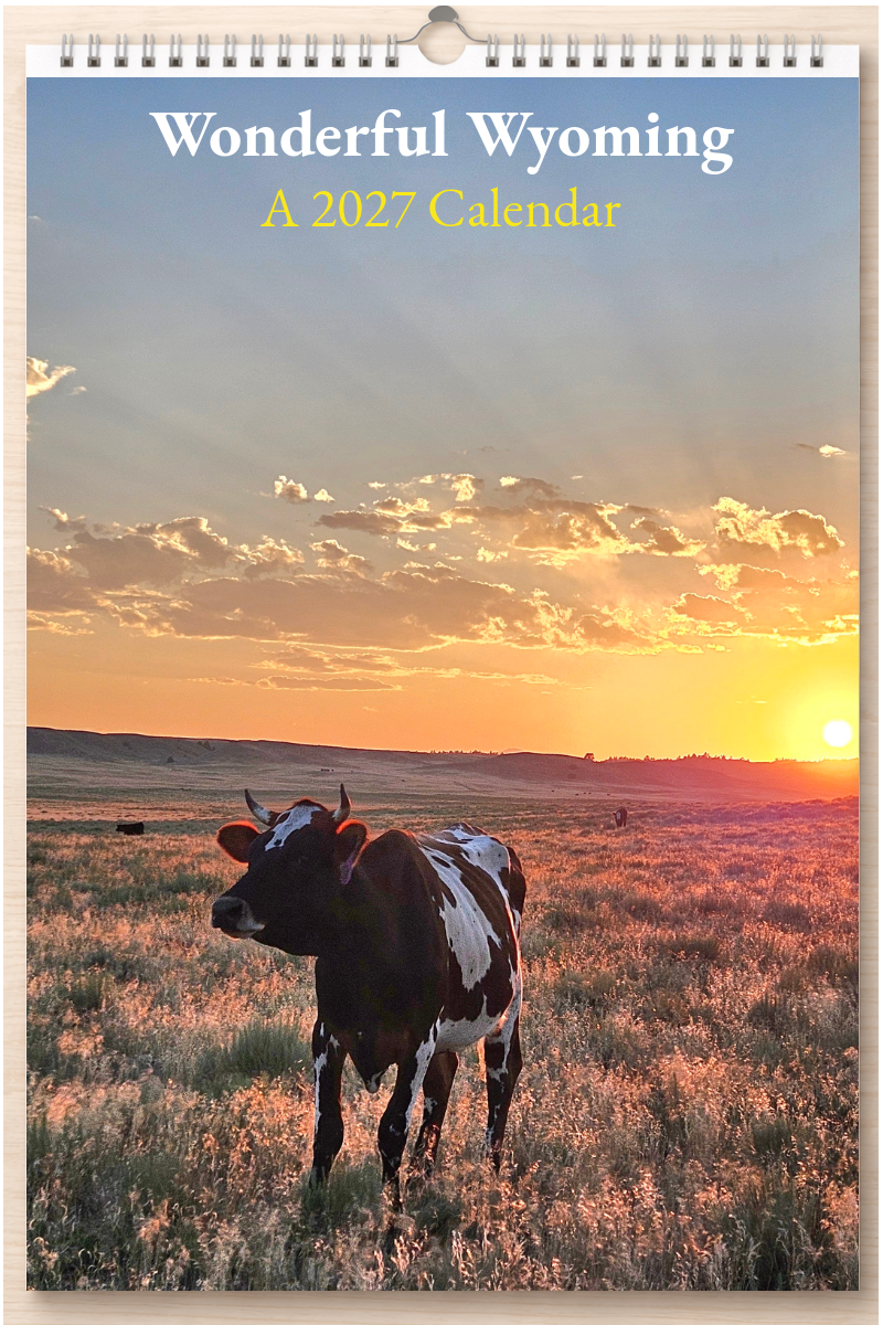 Wonderful Wyoming: A 2027 Calendar