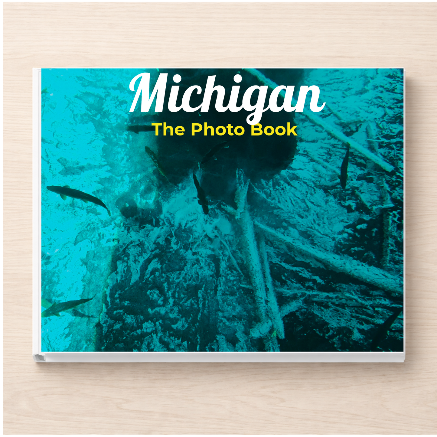 Michigan: The Photo Book