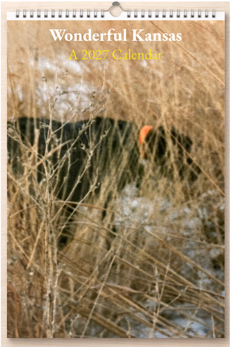 Wonderful Kansas: A 2027 Calendar