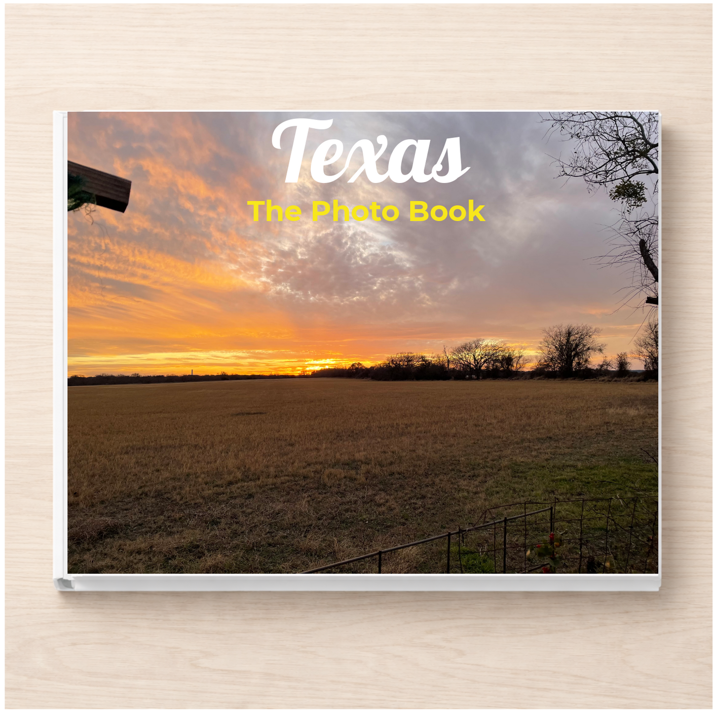 Texas: The Photo Book