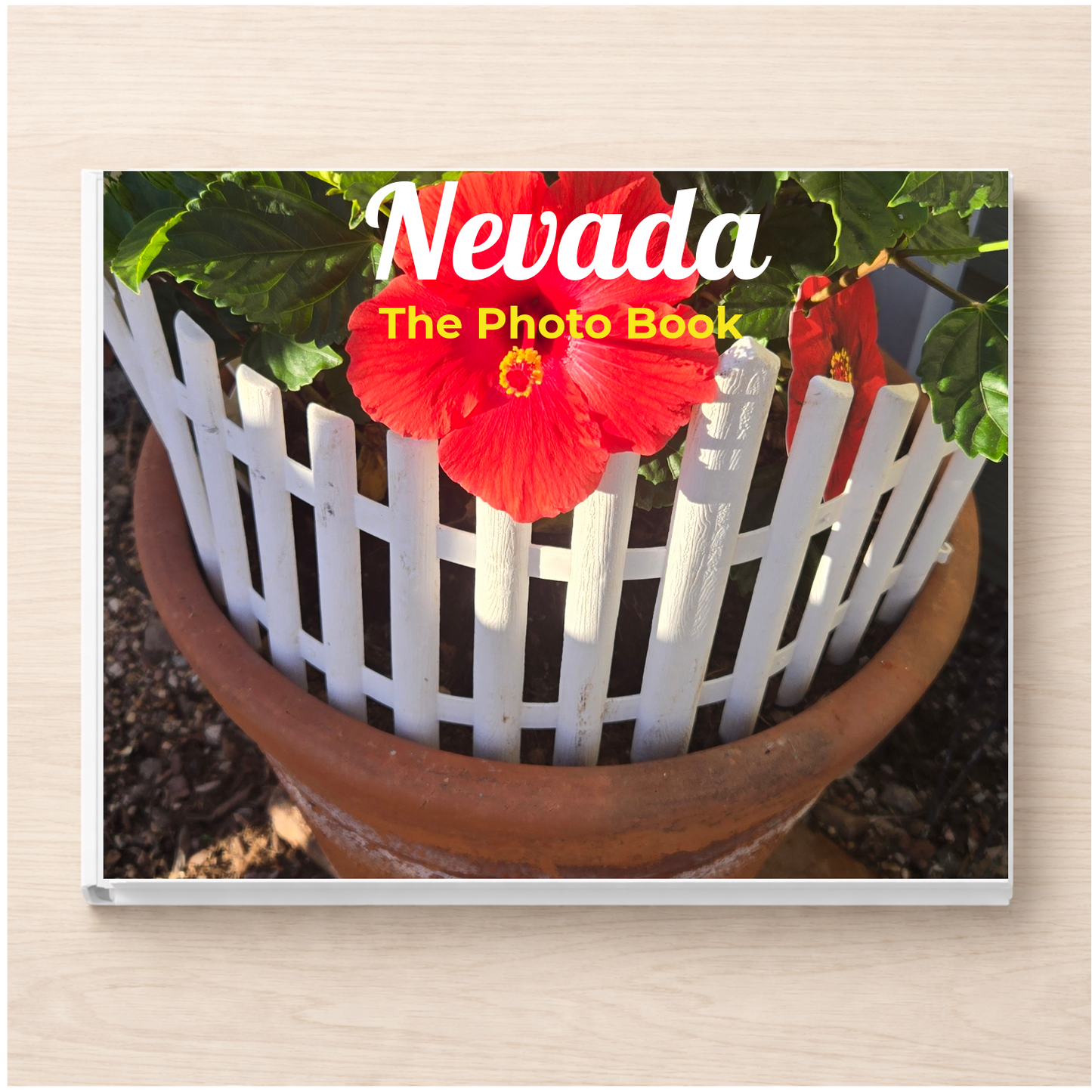 Nevada: The Photo Book