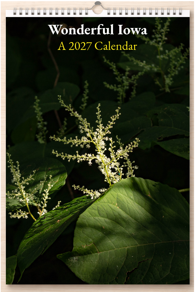 Wonderful Iowa: A 2027 Calendar