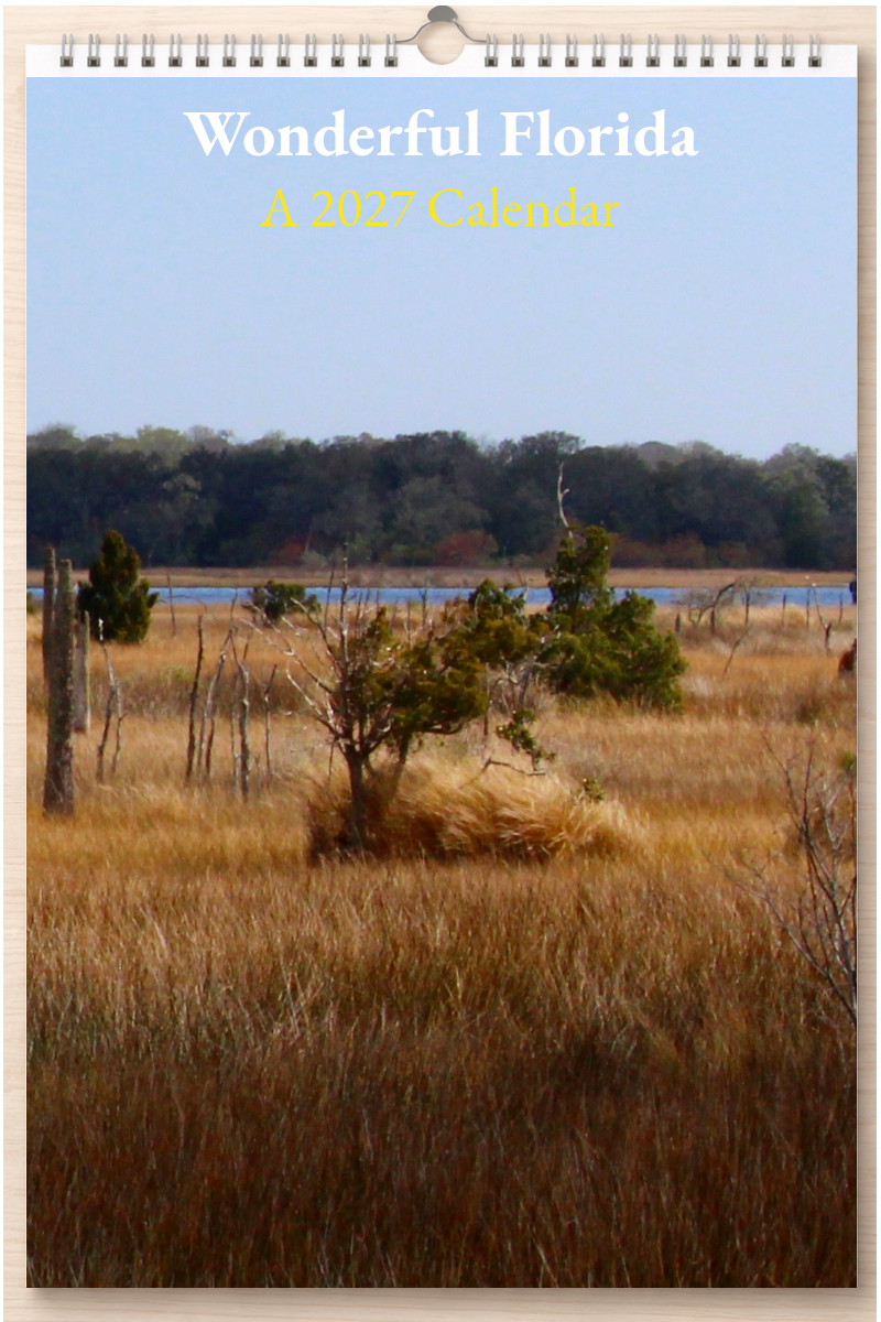 Wonderful Florida: A 2027 Calendar