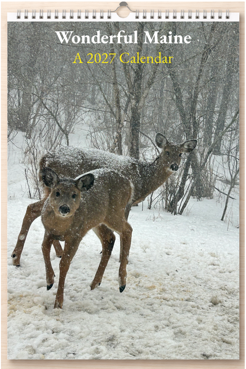 Wonderful Maine: A 2027 Calendar