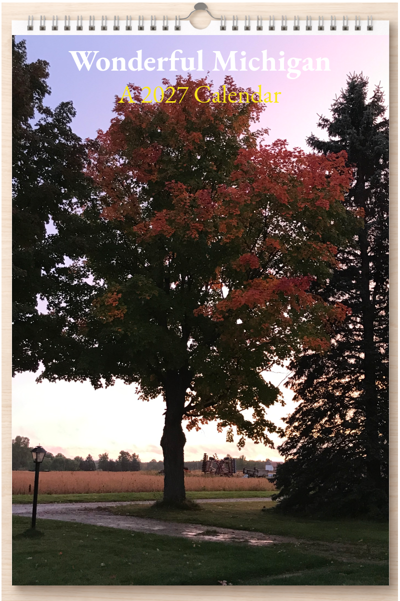 Wonderful Michigan: A 2027 Calendar