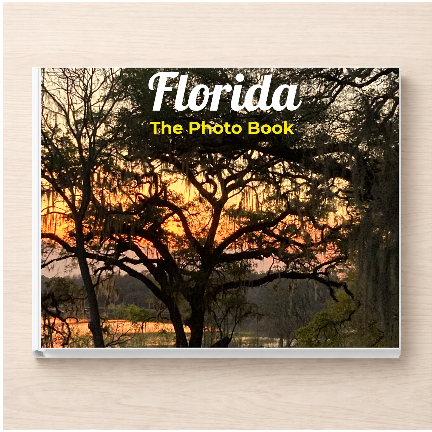 Florida: The Photo Book