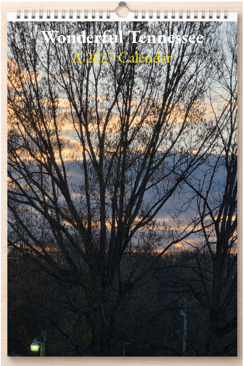 Wonderful Tennessee: A 2027 Calendar