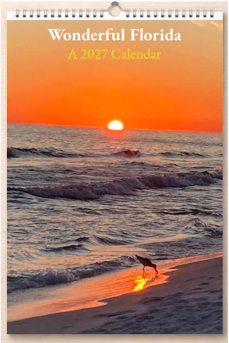 Wonderful Florida: A 2027 Calendar