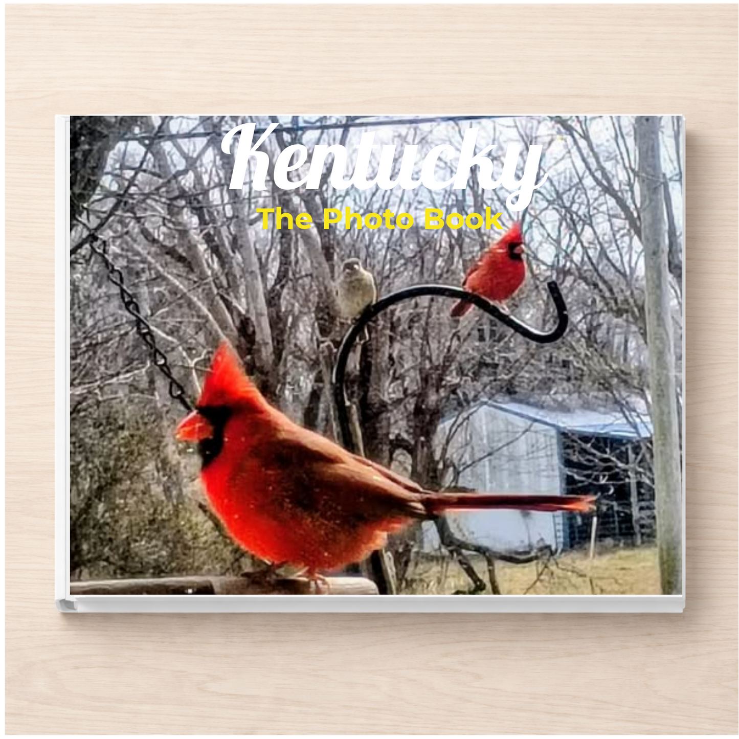 Kentucky: The Photo Book