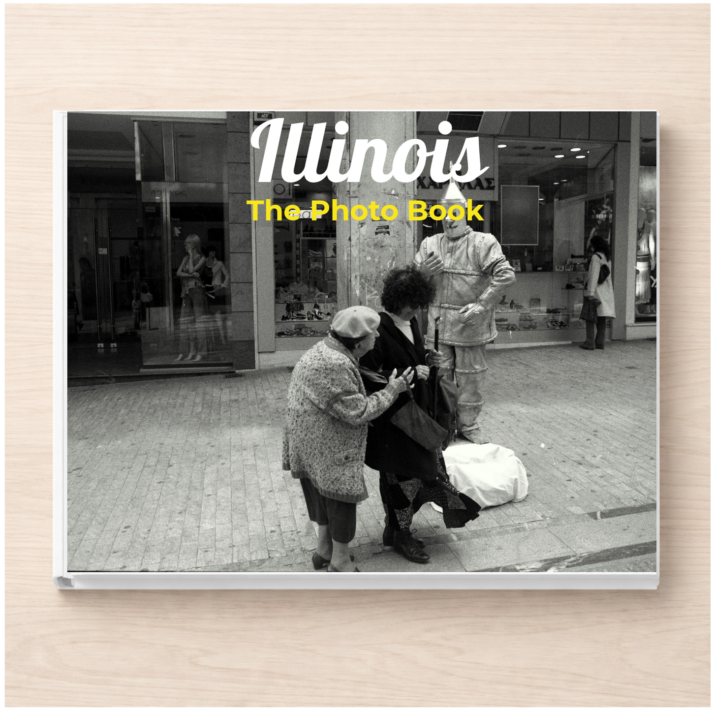 Illinois: The Photo Book
