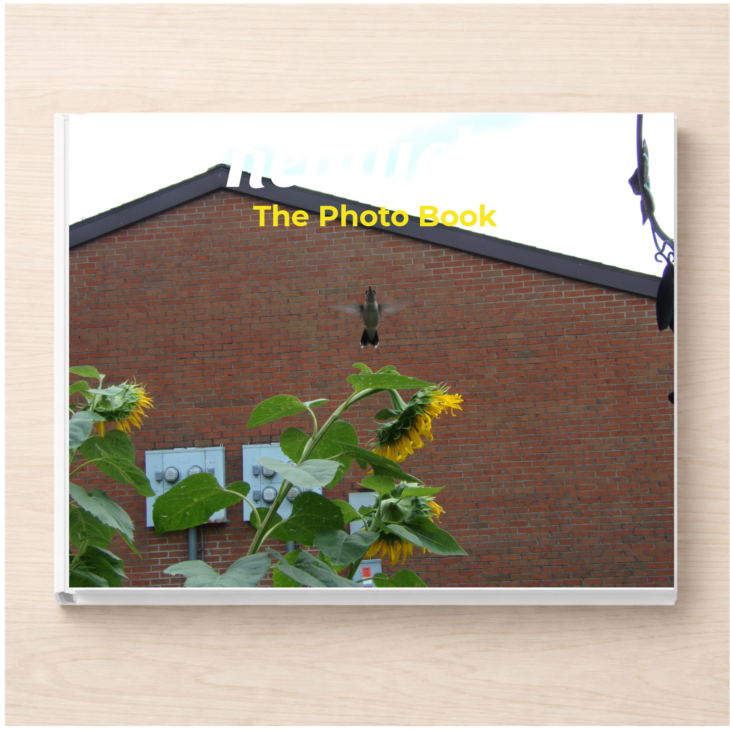 Kentucky: The Photo Book