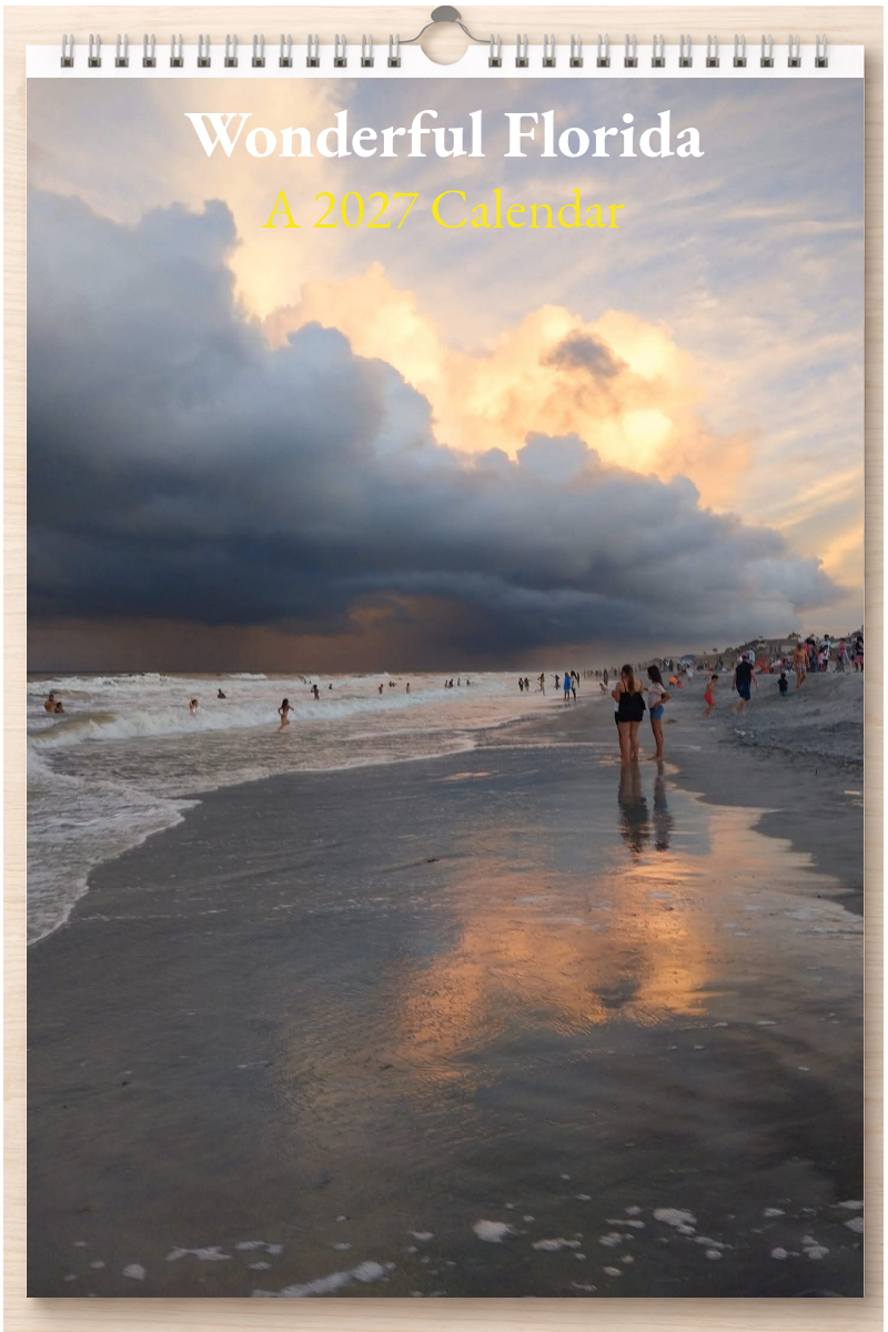 Wonderful Florida: A 2027 Calendar
