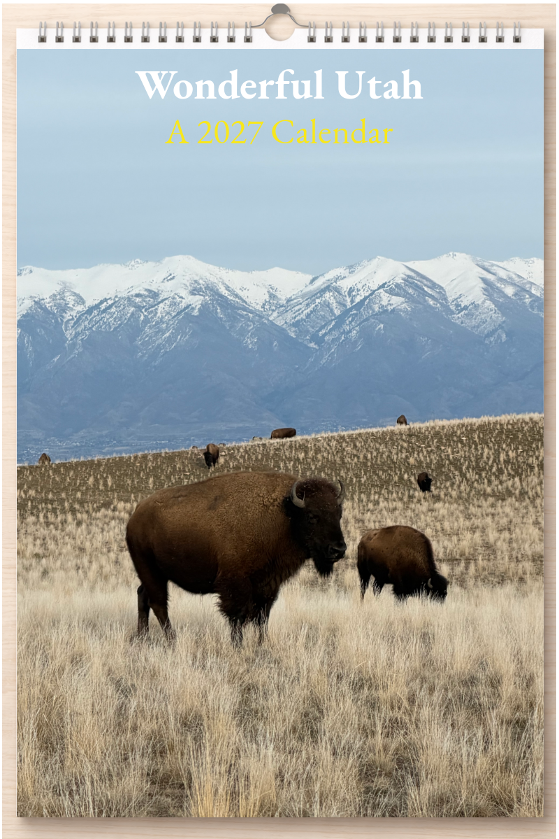 Wonderful Utah: A 2027 Calendar