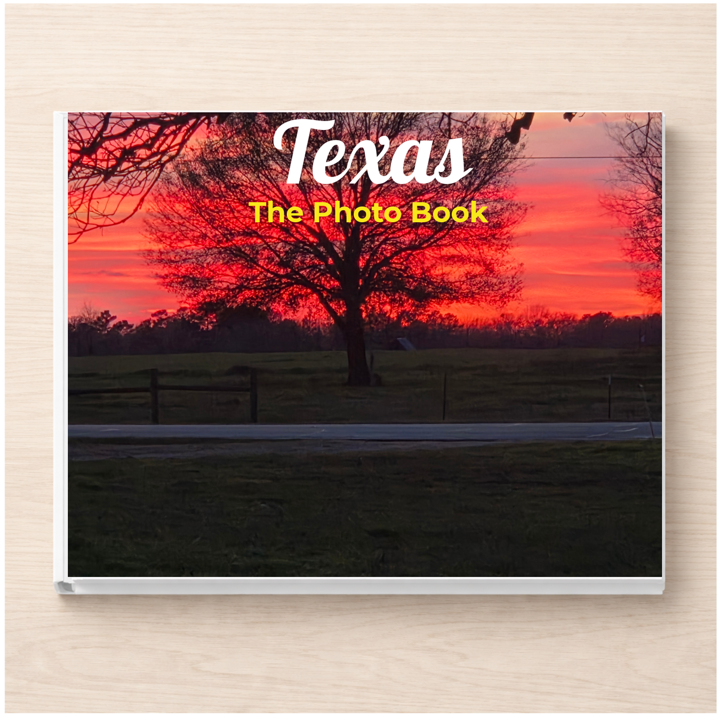 Texas: The Photo Book