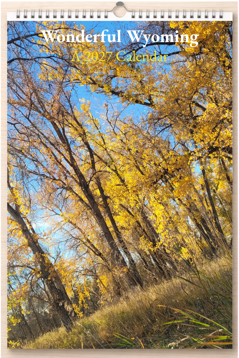 Wonderful Wyoming: A 2027 Calendar