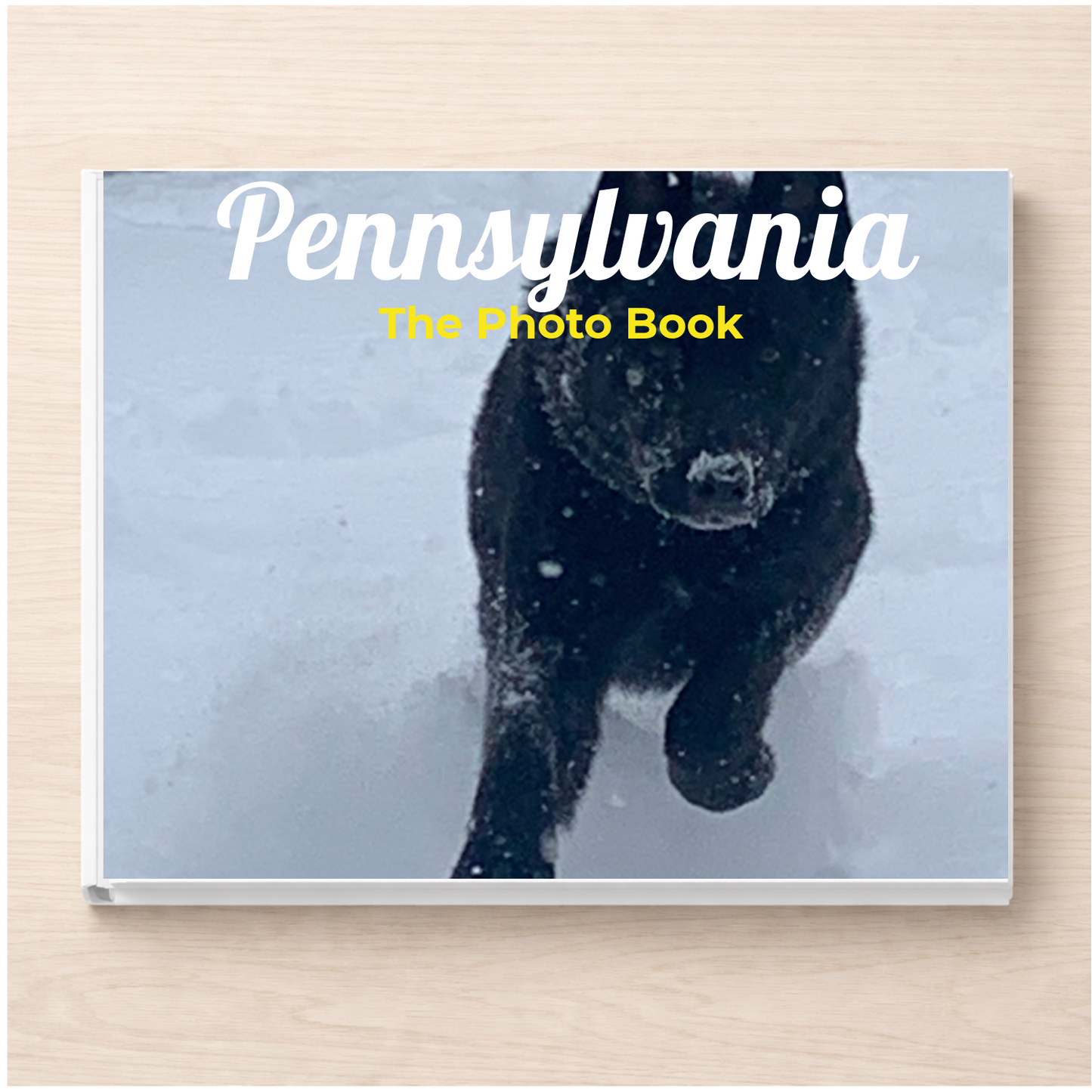 Pennsylvania: The Photo Book