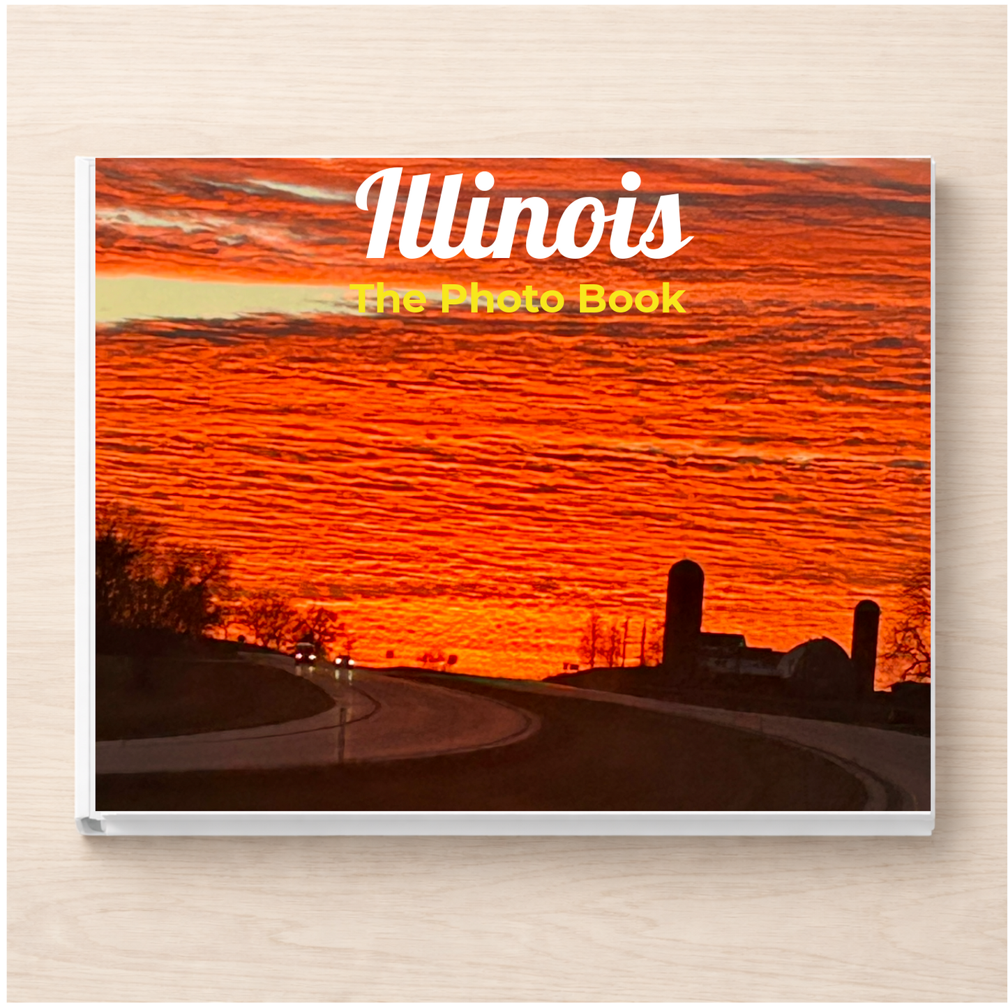 Illinois: The Photo Book