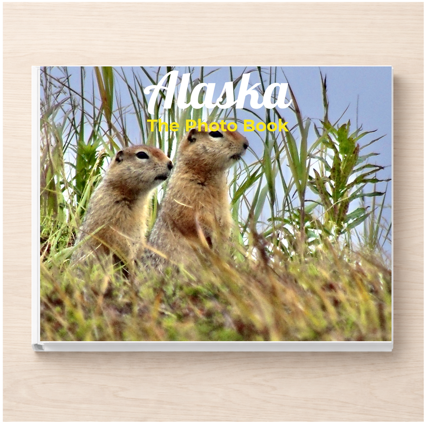 Alaska: The Photo Book