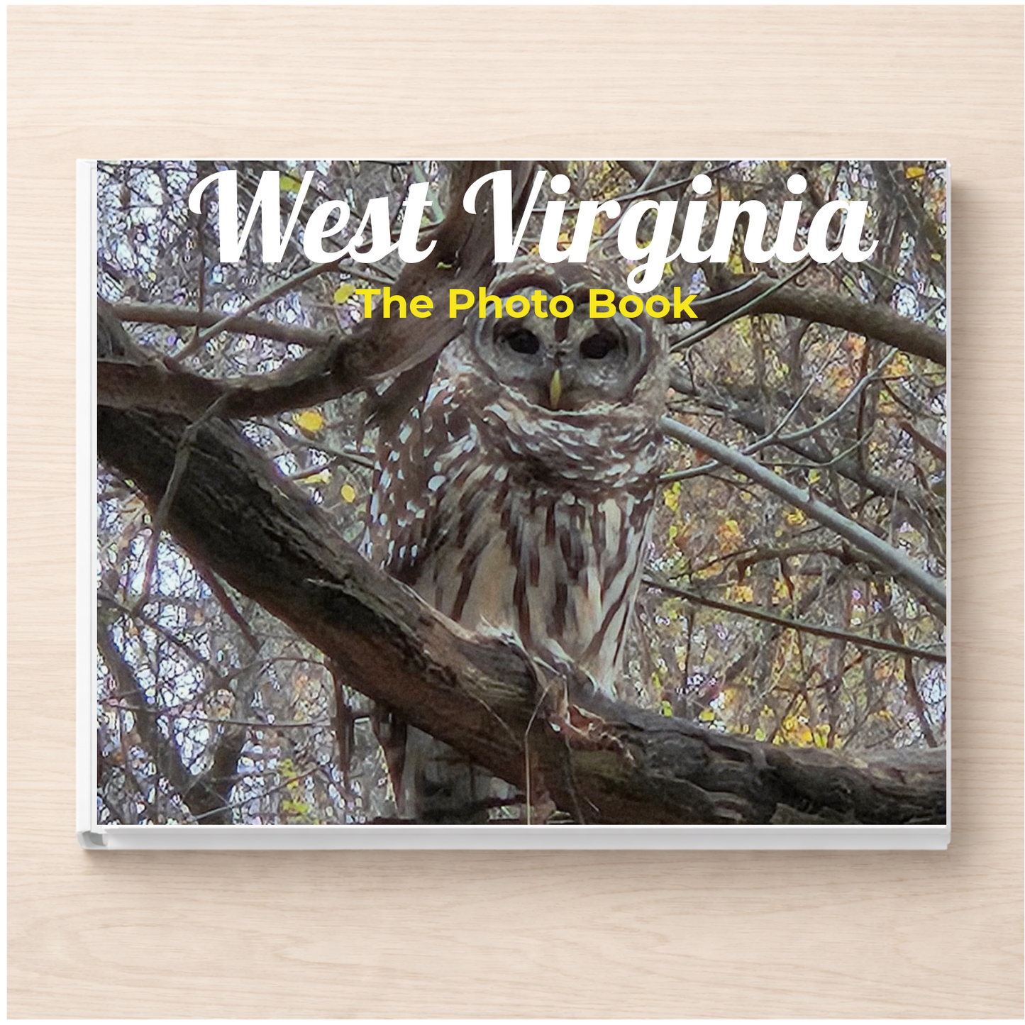 West Virginia: The Photo Book