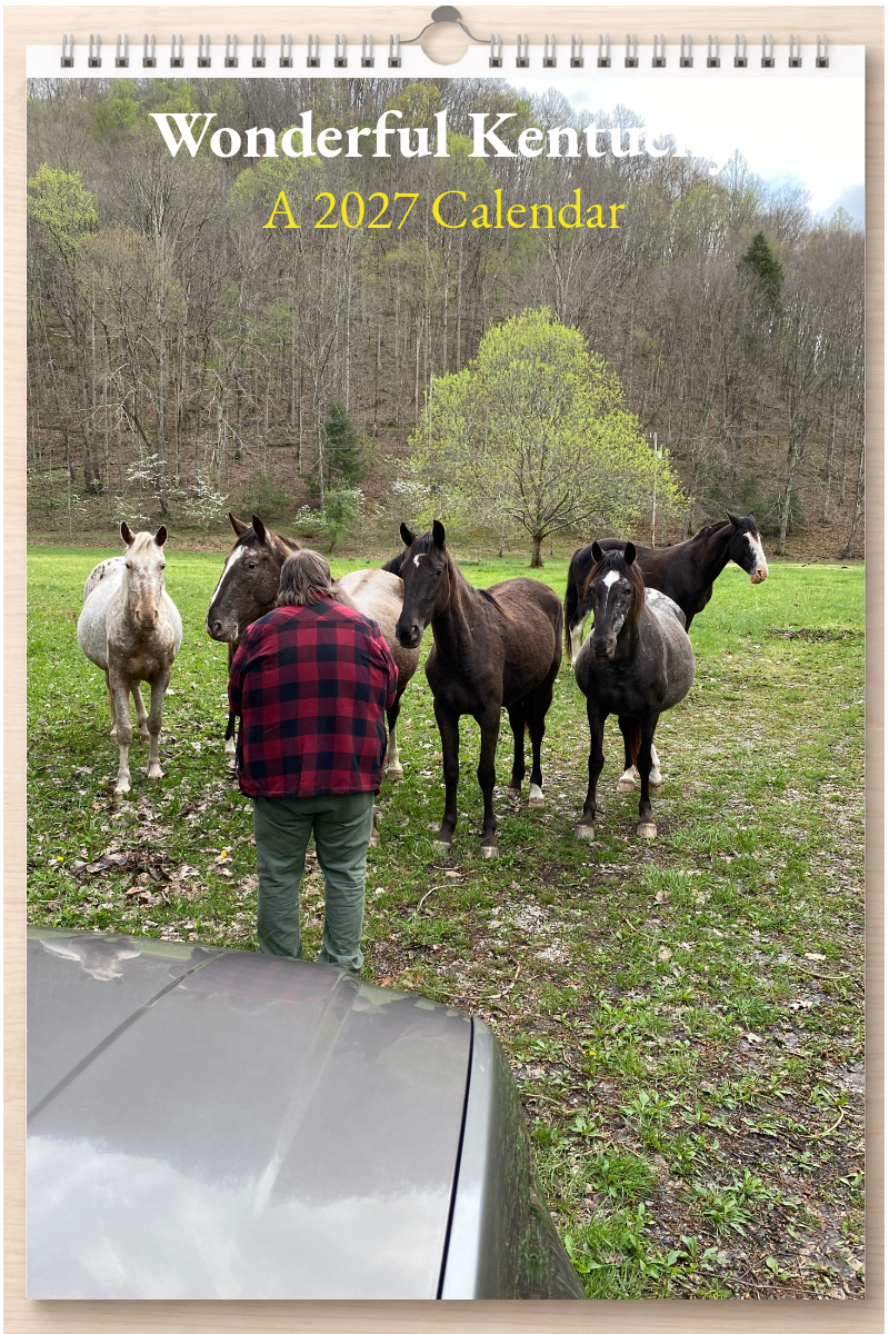 Wonderful Kentucky: A 2027 Calendar