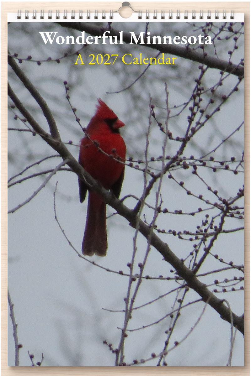 Wonderful Minnesota: A 2027 Calendar