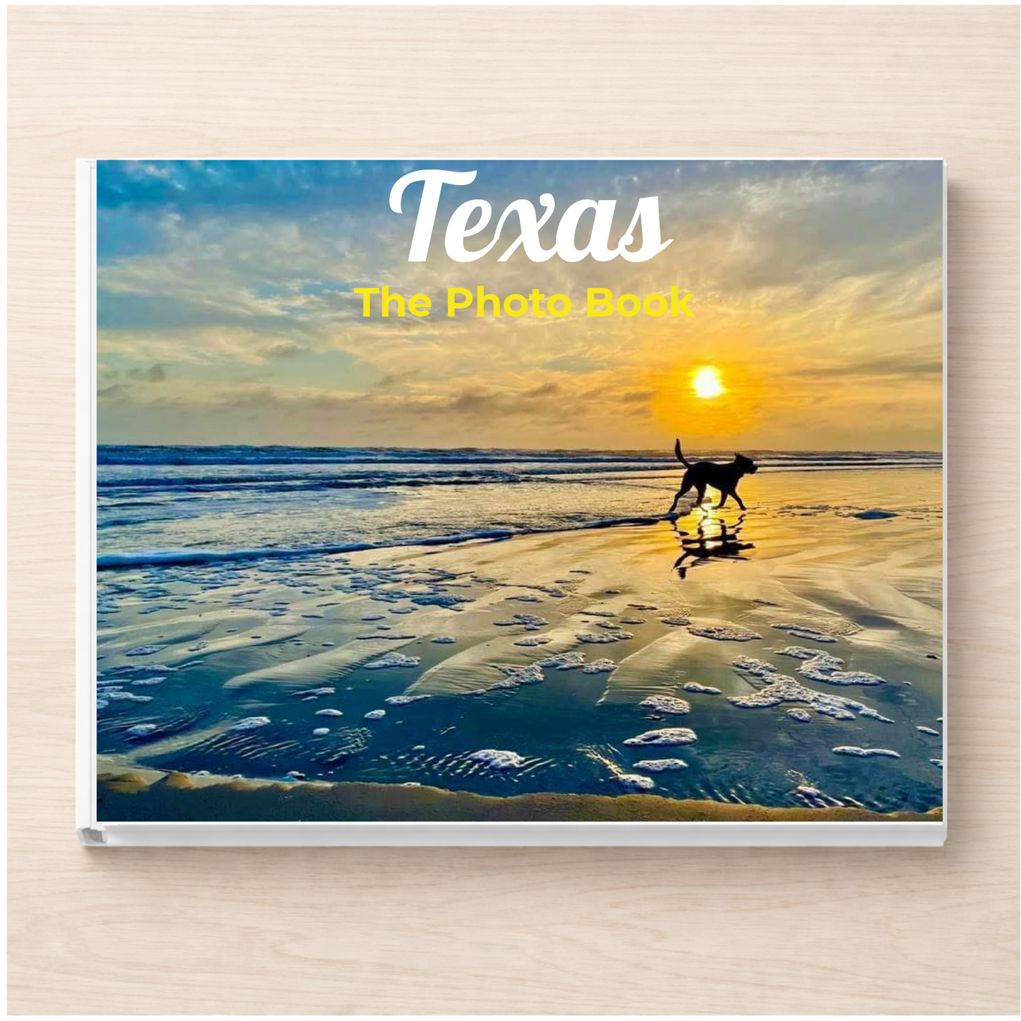 Texas: The Photo Book