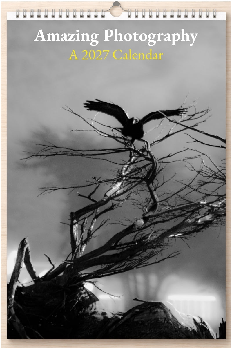 Amazing Photography: A 2027 Calendar
