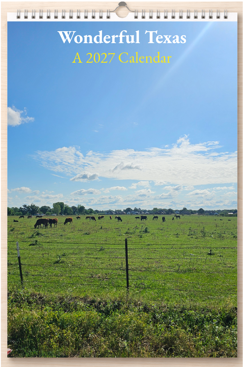 Wonderful Texas: A 2027 Calendar