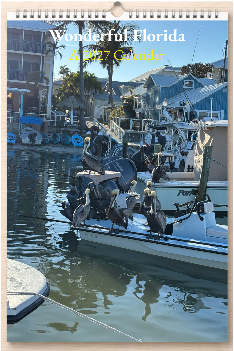 Wonderful Florida: A 2027 Calendar