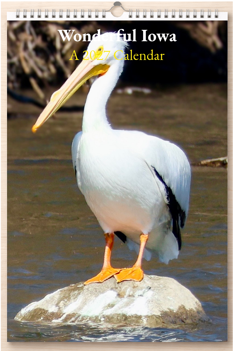 Wonderful Iowa: A 2027 Calendar