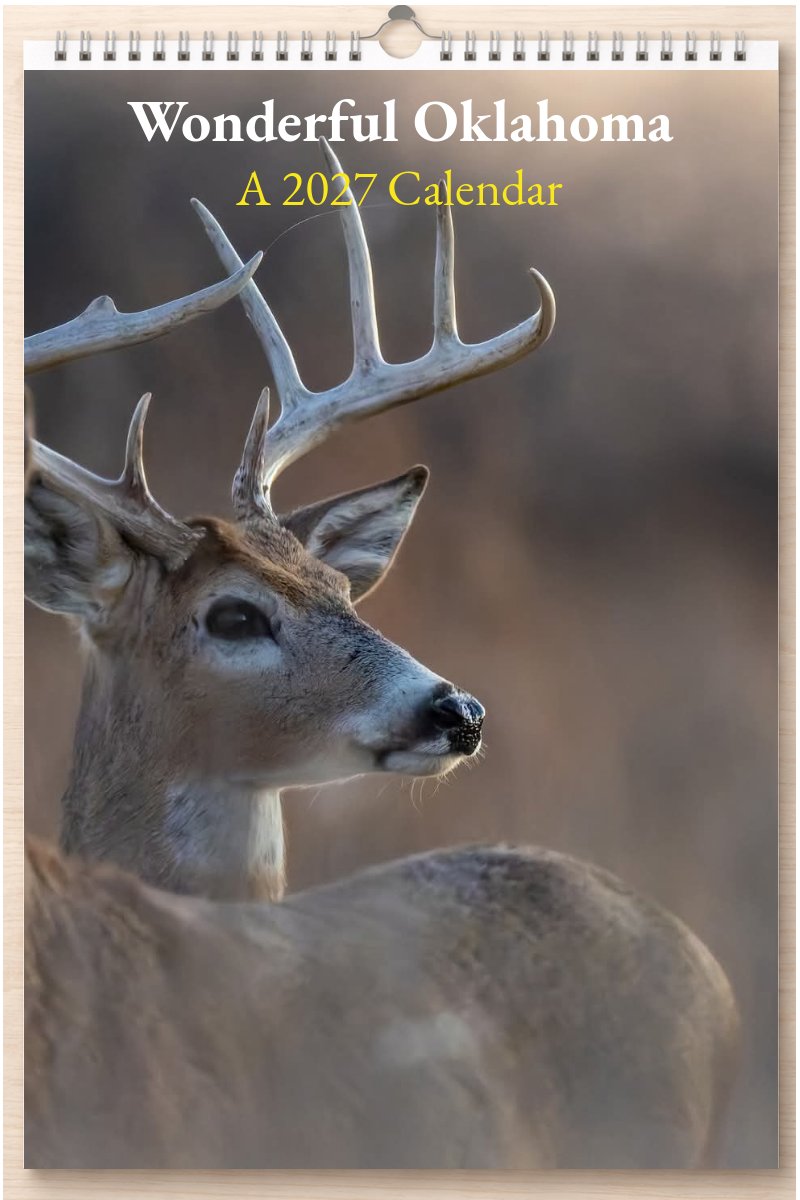 Wonderful Oklahoma: A 2027 Calendar