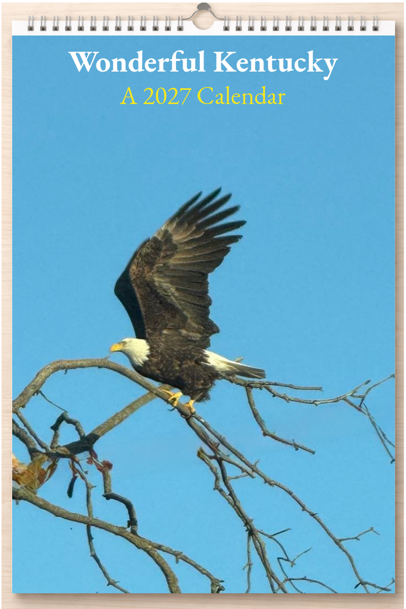 Wonderful Kentucky: A 2027 Calendar