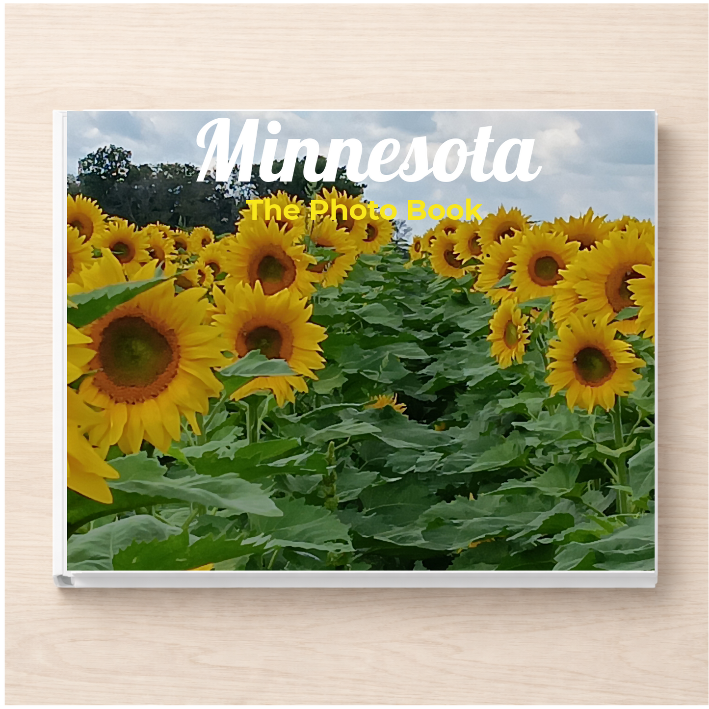 Minnesota: The Photo Book