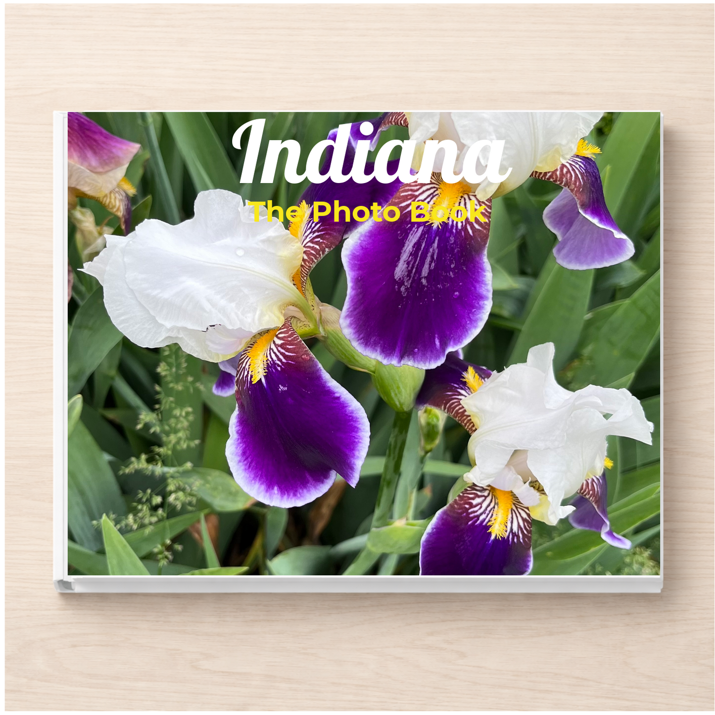 Indiana: The Photo Book