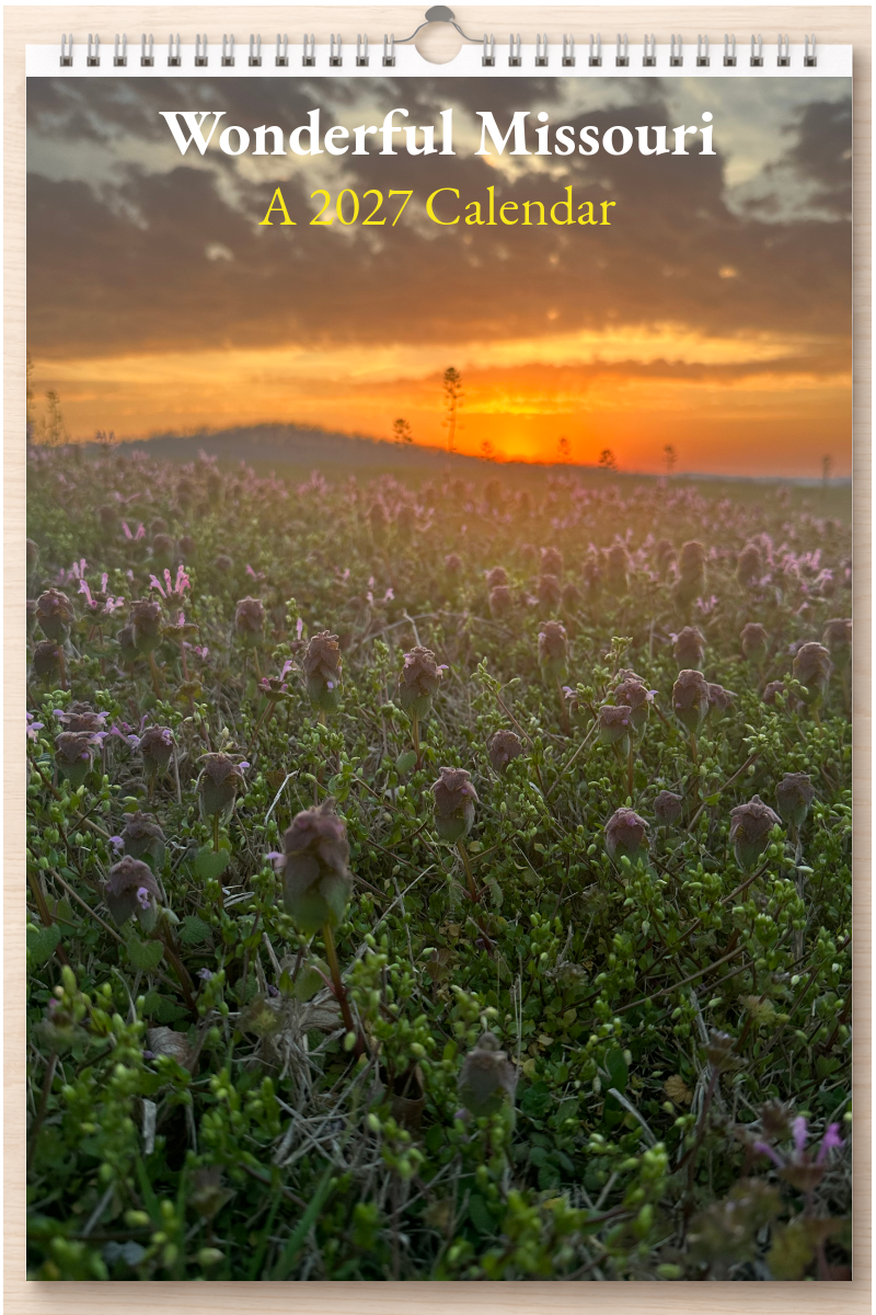 Wonderful Missouri: A 2027 Calendar