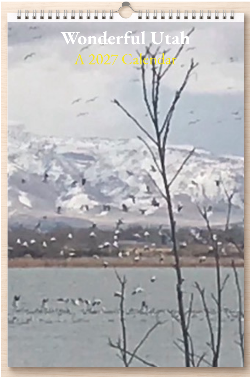 Wonderful Utah: A 2027 Calendar