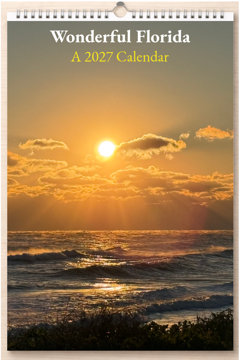 Wonderful Florida: A 2027 Calendar