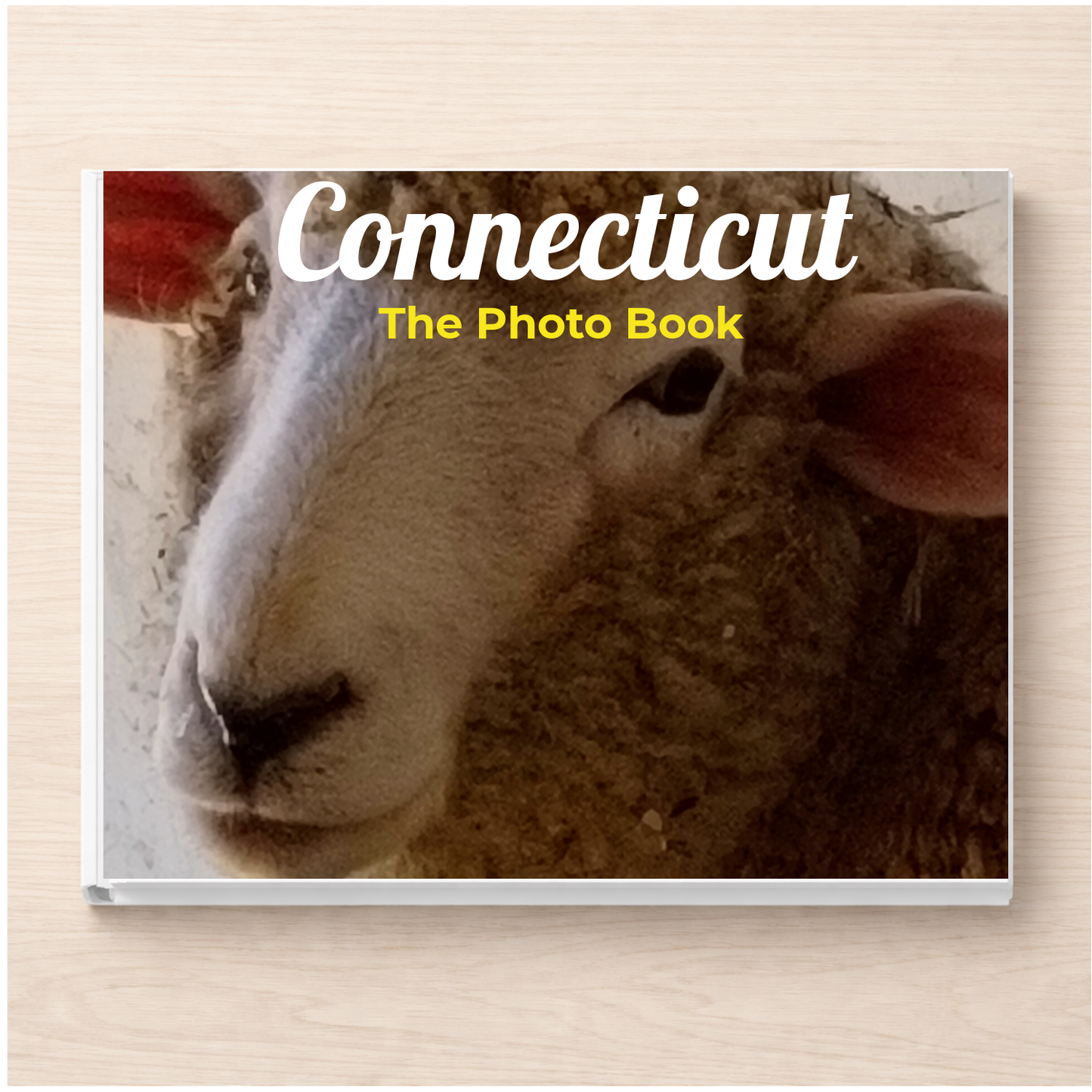 Connecticut: The Photo Book