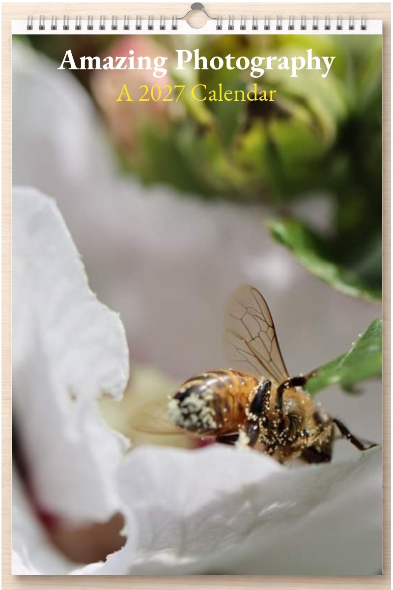 Amazing Photography: A 2027 Calendar