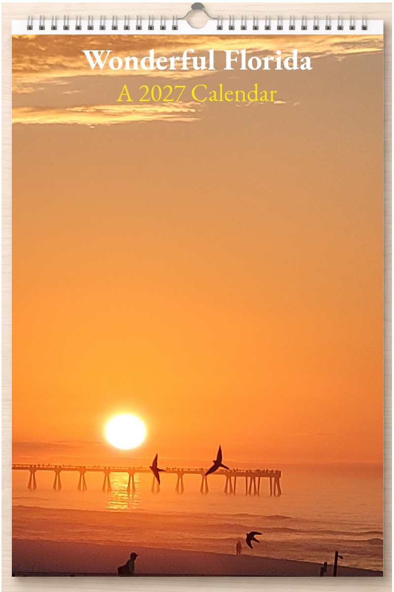 Wonderful Florida: A 2027 Calendar