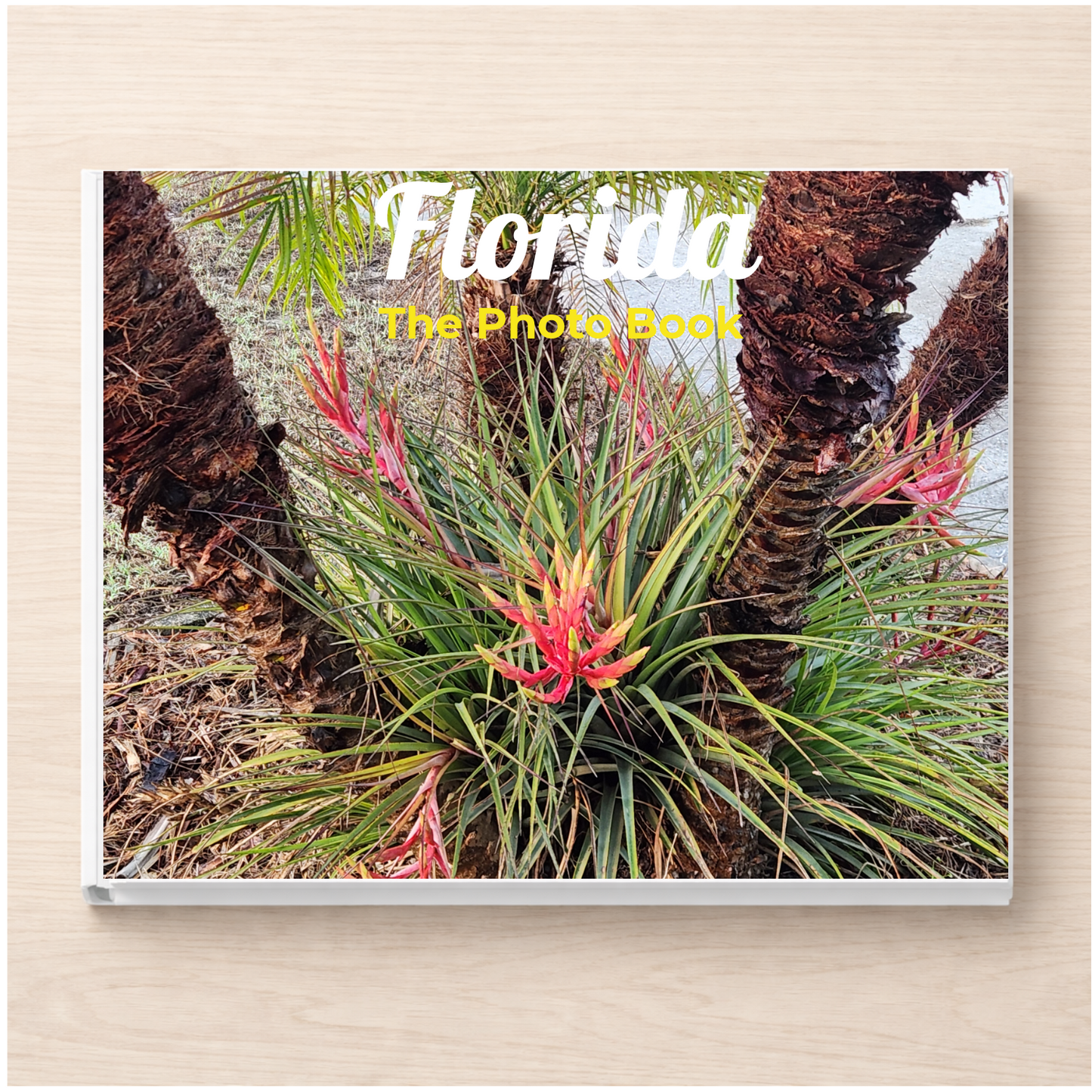 Florida: The Photo Book