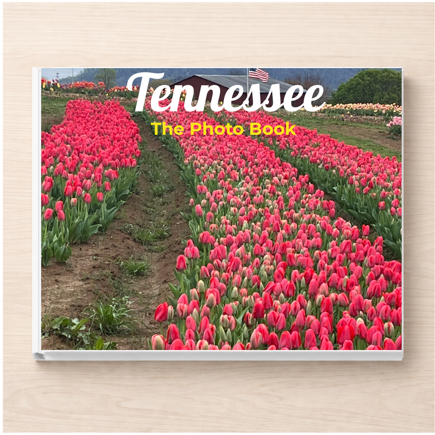 Tennessee: The Photo Book